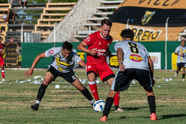 Nurturing a Vibrant Home for Your Lone Parrot: Key Strategies for an Engaging and Enriching Environment